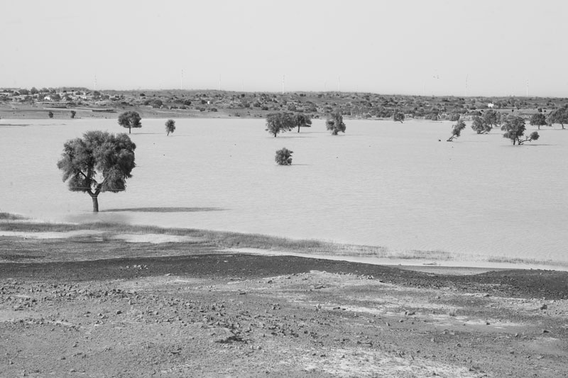 Khadin-A Nature-Based Solution for Water for Agriculture in Thar Desert, Jaisalmer district, Rajasthan - Masurdi Khadin inundated with runoff received from its catchment